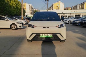 海鷗 比亞迪 305km 活力版