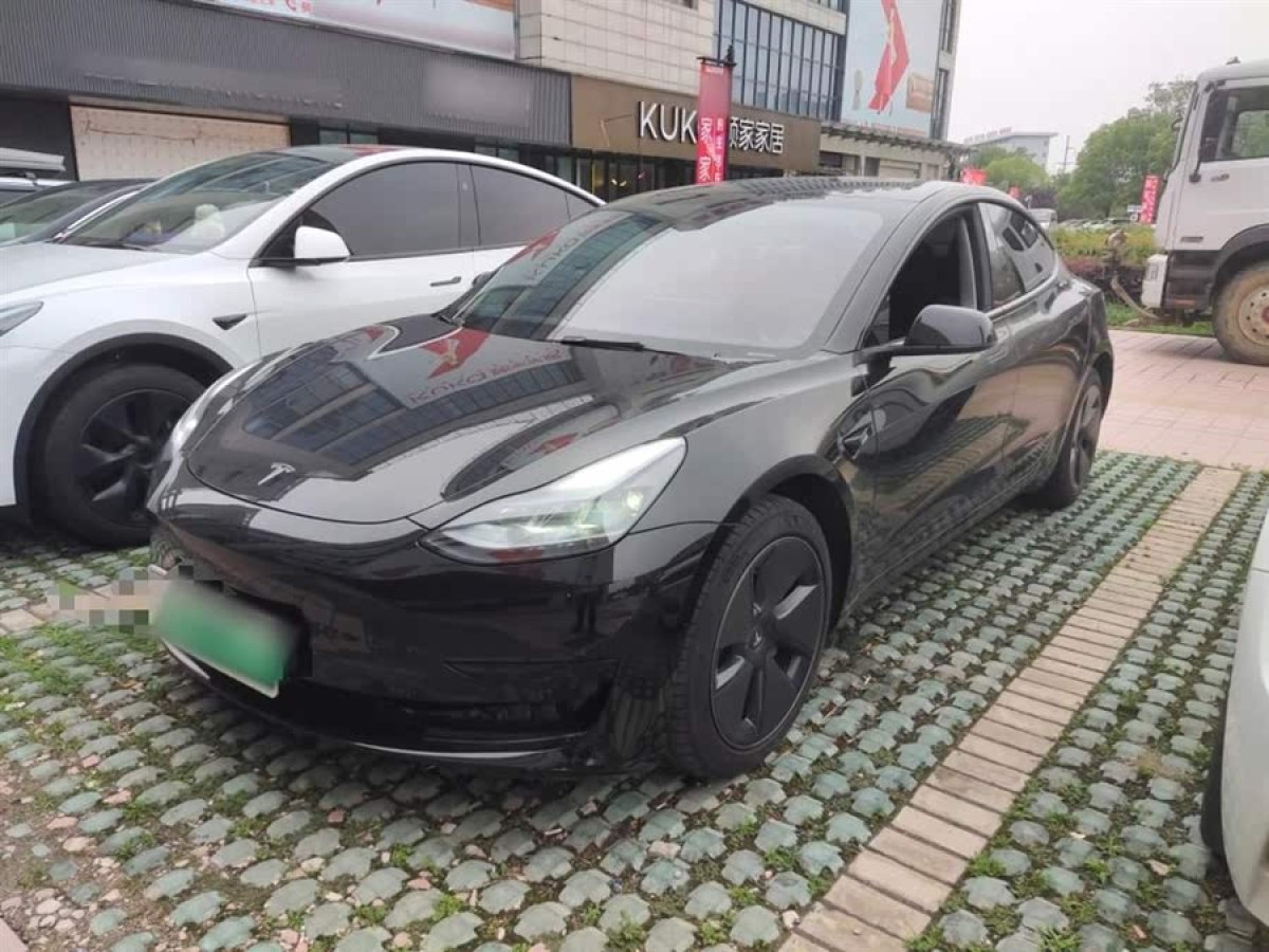 特斯拉 Model 3  2022款 后輪驅(qū)動版圖片