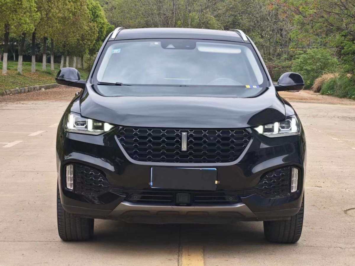 WEY VV6  2018款 2.0T 兩驅超豪型圖片