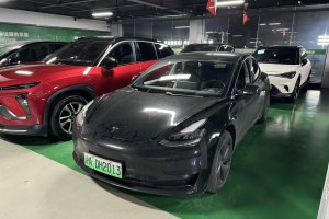 Model 3 特斯拉 标准续航后驱升级版