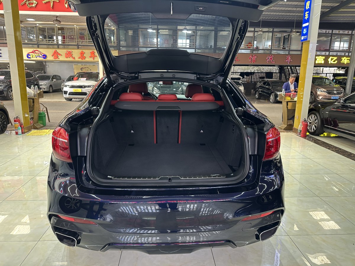 寶馬 寶馬X6  2018款 xDrive35i 領(lǐng)先型圖片