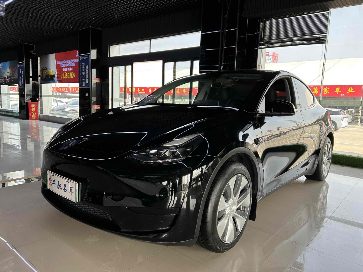 特斯拉 Model Y  2020款 改款 長(zhǎng)續(xù)航后輪驅(qū)動(dòng)版圖片