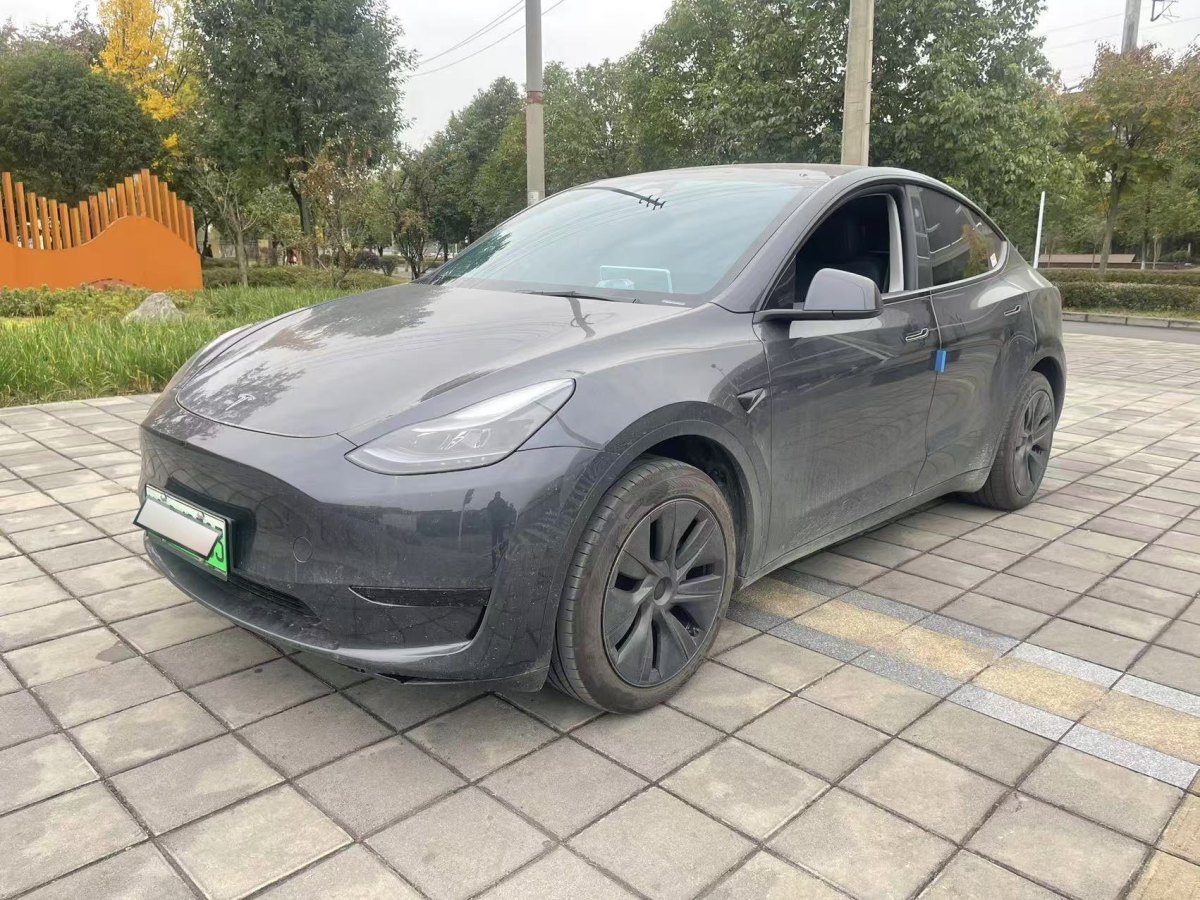 特斯拉 Model 3  2023款 煥新版 后輪驅(qū)動圖片