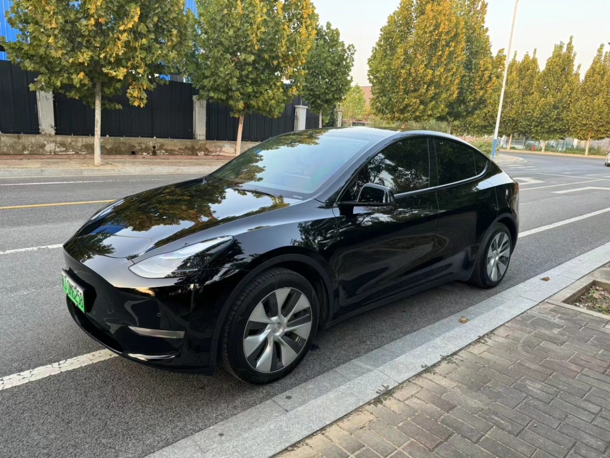 特斯拉 Model 3  2022款 后驅(qū)版圖片