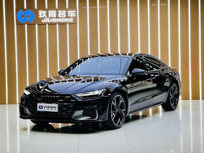 2025年2月 奧迪 奧迪A7L 45 TFSI quattro 黑武士版圖片