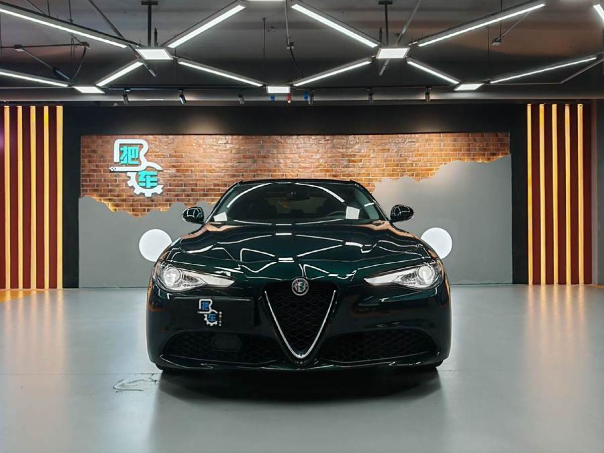 阿尔法·罗密欧 Giulia  2020款 2.0T 280HP VIRTU限量版图片