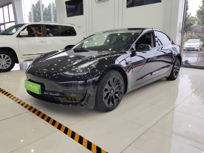 2021年6月 特斯拉 Model 3 標(biāo)準(zhǔn)續(xù)航后驅(qū)升級(jí)版圖片