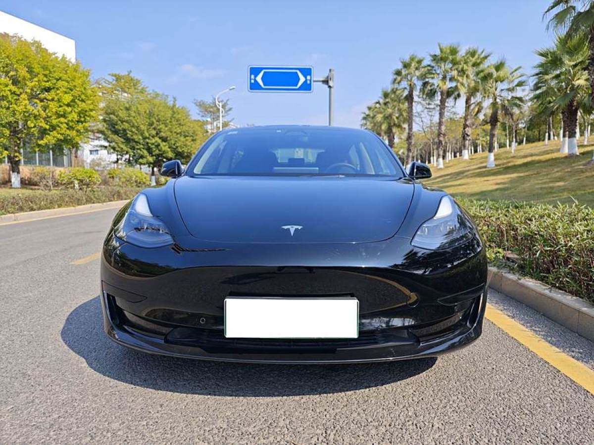 特斯拉 Model 3  2021款 標(biāo)準(zhǔn)續(xù)航后驅(qū)升級(jí)版 3D6圖片