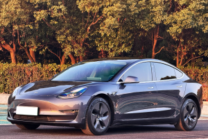 Model 3 特斯拉 改款 长续航后轮驱动版