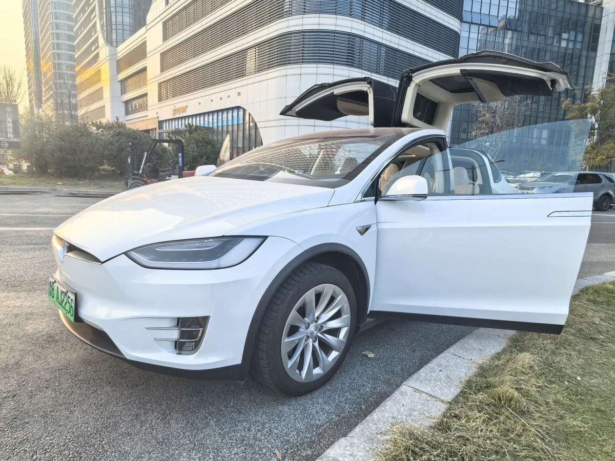 特斯拉 Model X  2016款 Model X 75D圖片