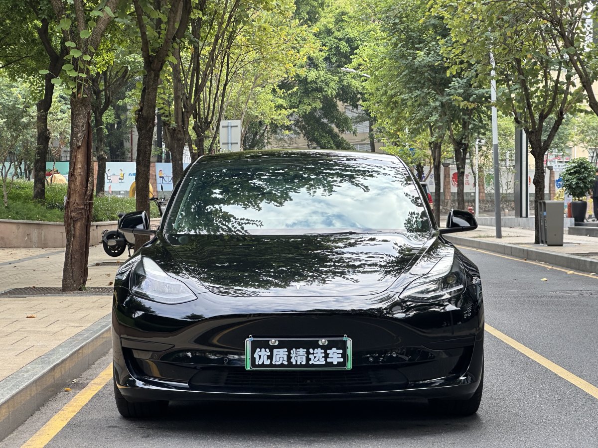 特斯拉 Model 3  2019款 標準續(xù)航后驅(qū)升級版圖片