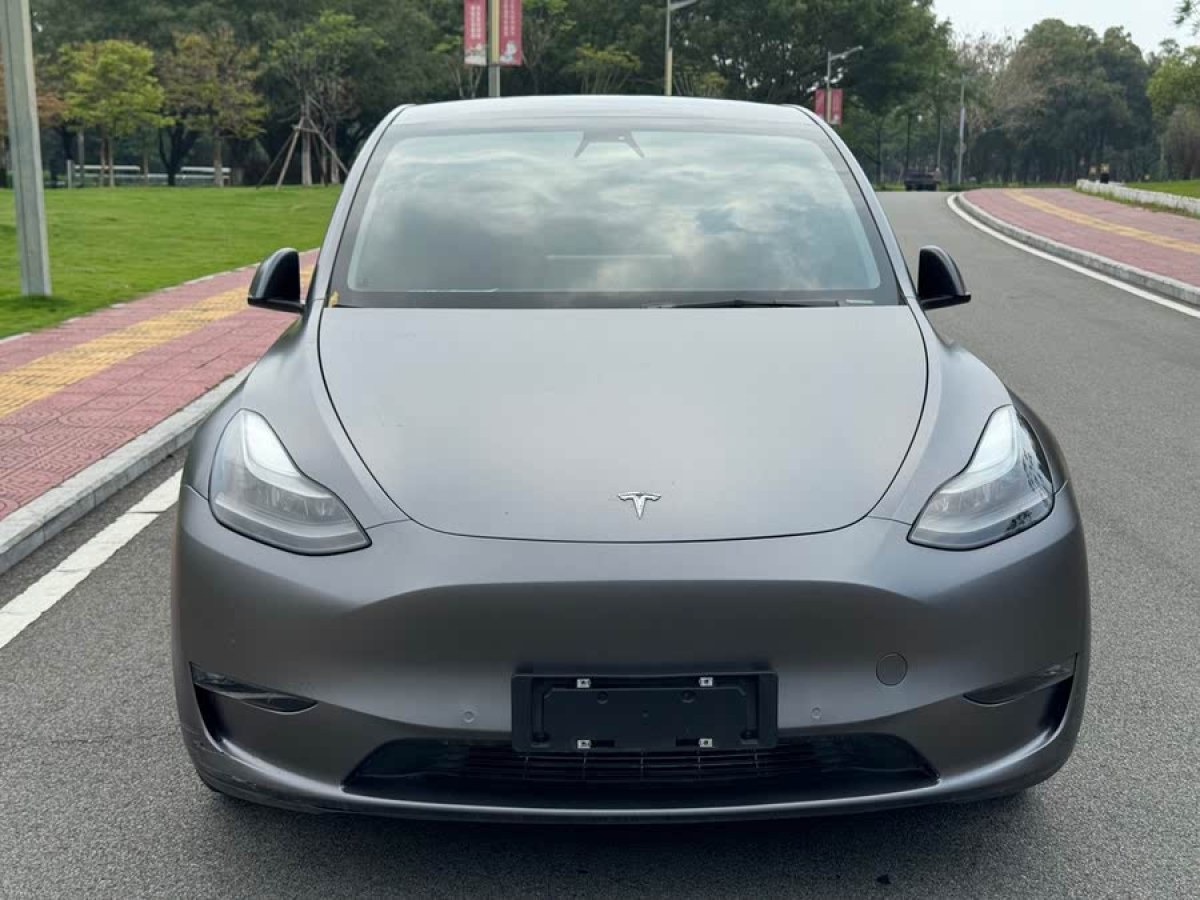 特斯拉 Model Y  2021款 標(biāo)準(zhǔn)續(xù)航后驅(qū)版圖片