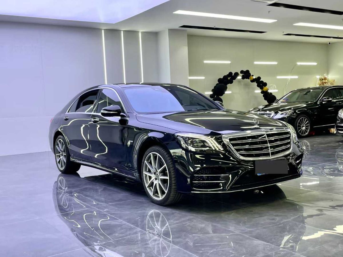 奔馳 奔馳S級  2020款 S 350 L 商務(wù)型 臻藏版圖片