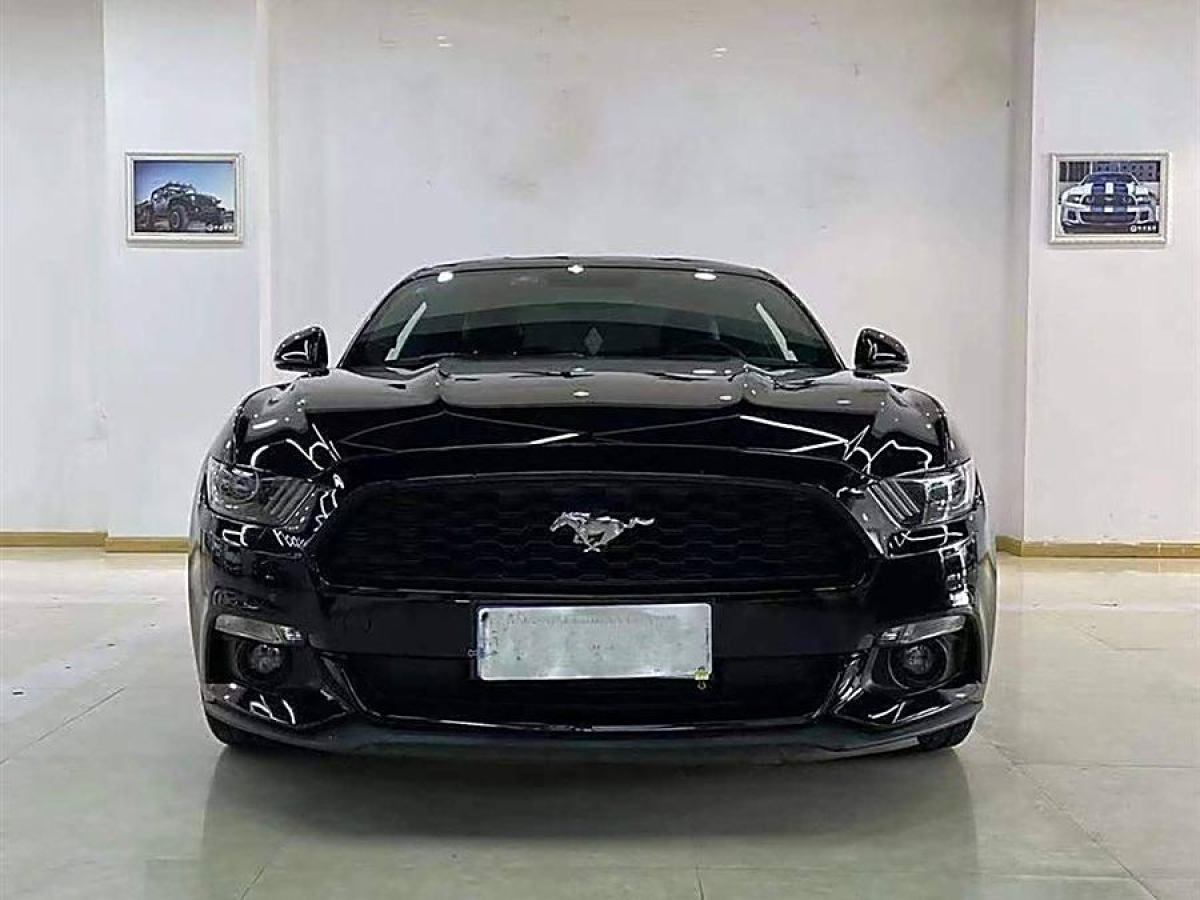 福特 Mustang  2017款 2.3T 性能版圖片