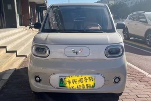 宏光MINIEV 五菱 第三代 215km 青春版