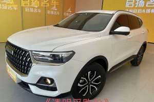 H6 哈弗 國(guó)潮版 1.5T 自動(dòng)都市版