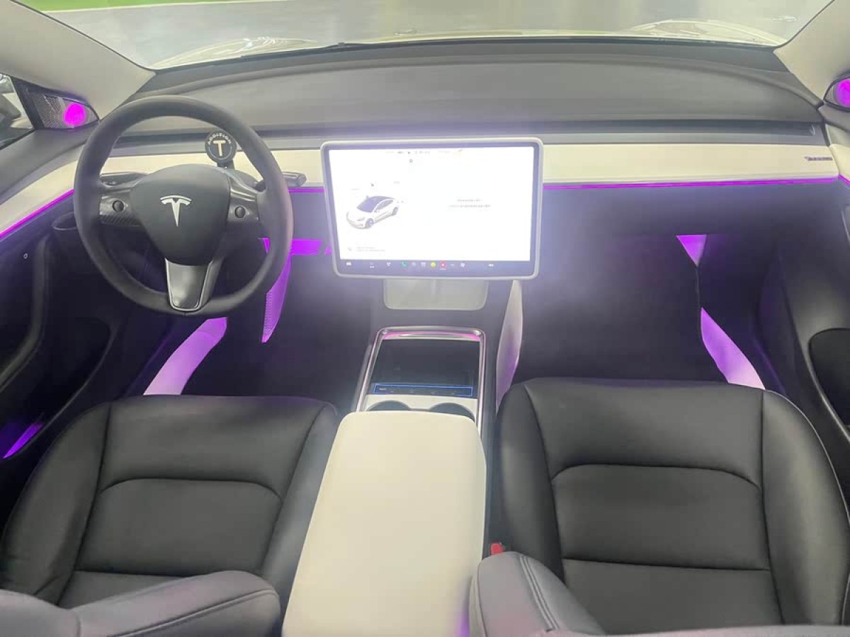 特斯拉 Model 3  2021款 標(biāo)準(zhǔn)續(xù)航后驅(qū)升級(jí)版 3D6圖片