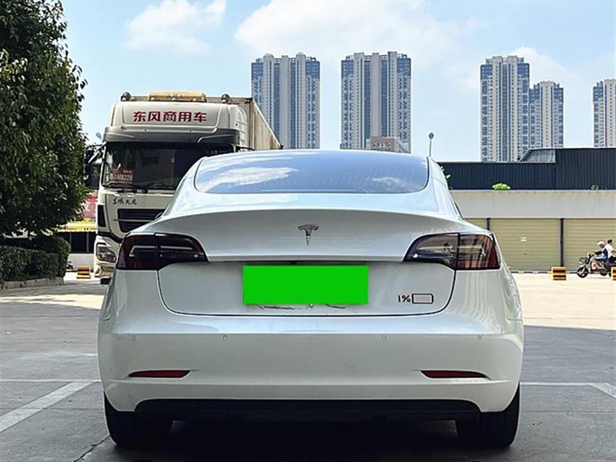 特斯拉 Model Y  2020款 改款 標準續(xù)航后驅(qū)升級版圖片