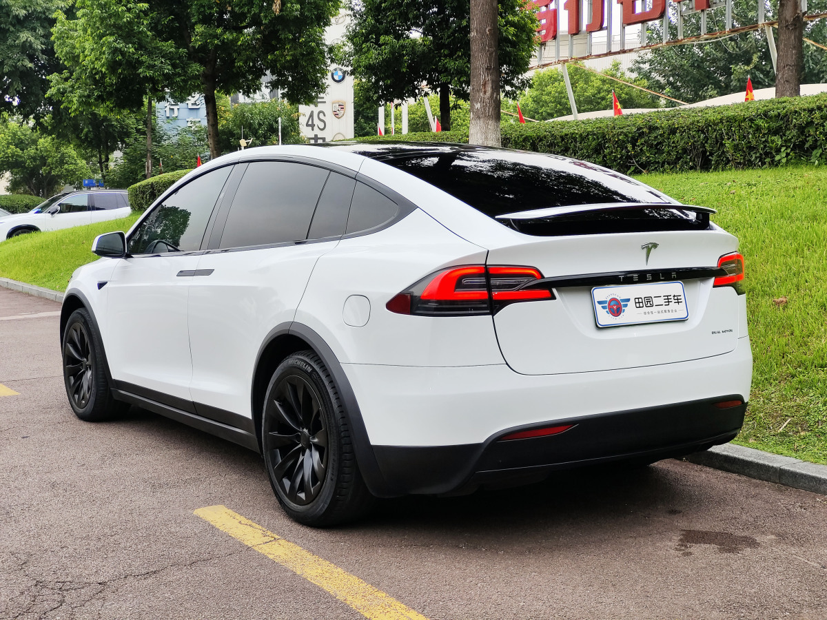 特斯拉 Model X  2019款 長(zhǎng)續(xù)航版圖片