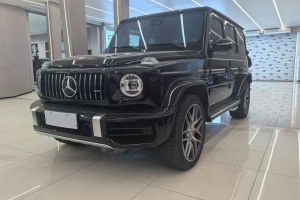 奔馳G級(jí)AMG 奔馳 AMG G 63 甲辰臻藏版