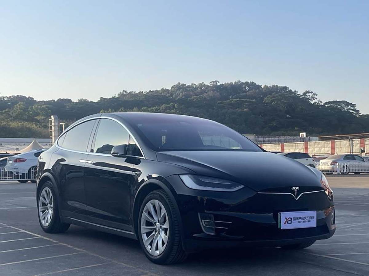 特斯拉 Model X  2017款 Model X 100D 長續(xù)航版圖片