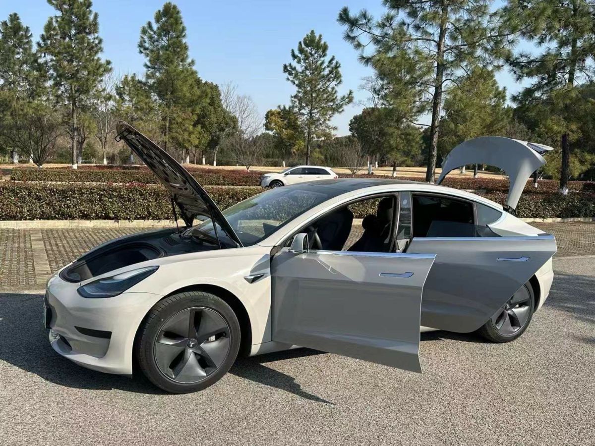 特斯拉 Model X  2020款 Performance 高性能版圖片