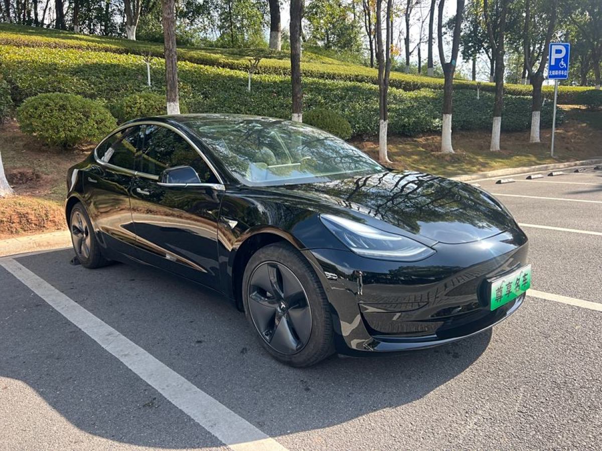 特斯拉 Model 3  2020款 改款 標(biāo)準(zhǔn)續(xù)航后驅(qū)升級(jí)版圖片