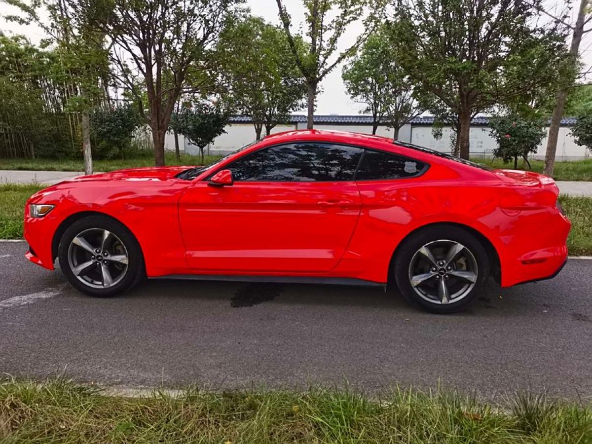 福特 Mustang  2015款 2.3T 50周年纪念版图片