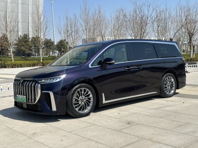 2023年10月 嵐圖 夢想家 PHEV 超長續(xù)航旗艦版圖片