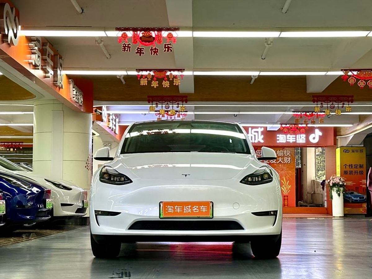 特斯拉 Model Y  2024款 長續(xù)航全輪驅動版圖片