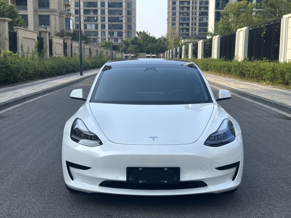 特斯拉 Model 3  2019款 标准续航后驱升级版