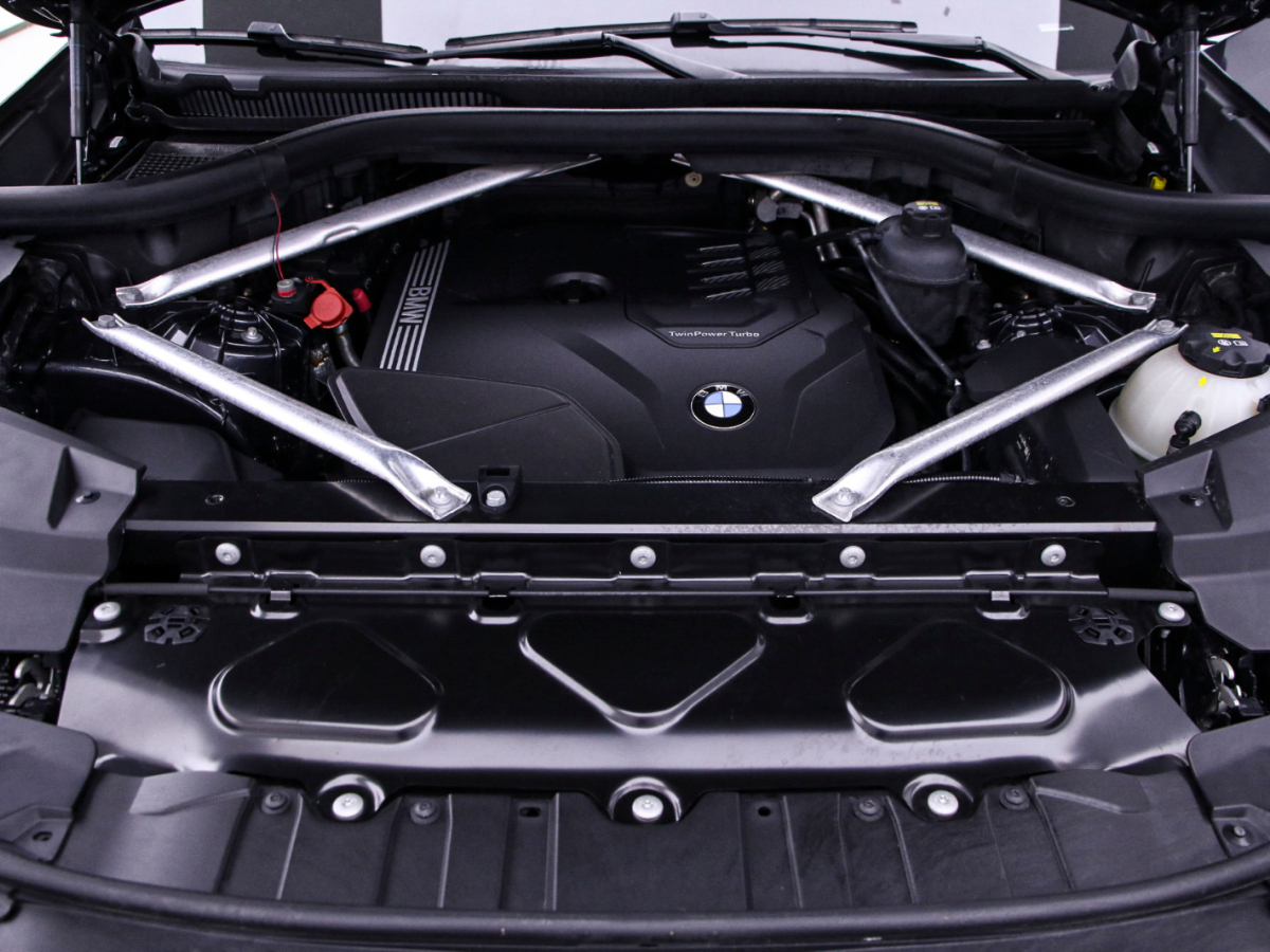 寶馬X6 2021款 xDrive30i M運動套裝圖片