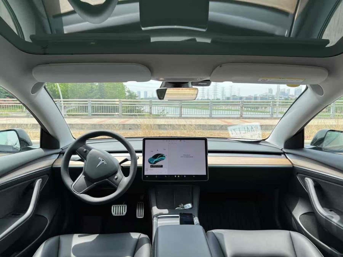 特斯拉 Model 3  2021款 改款 Performance高性能全輪驅(qū)動版圖片