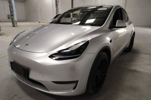 Model Y 特斯拉 標(biāo)準(zhǔn)續(xù)航后驅(qū)版