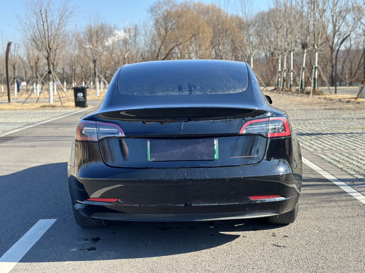 特斯拉 Model Y  2022款 Performance高性能全輪驅(qū)動版圖片