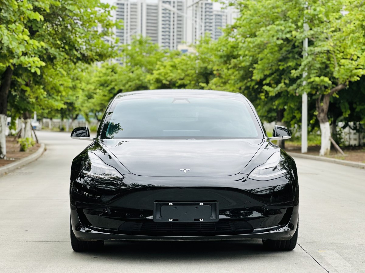 特斯拉 Model Y  2020款 改款 標(biāo)準(zhǔn)續(xù)航后驅(qū)升級版圖片