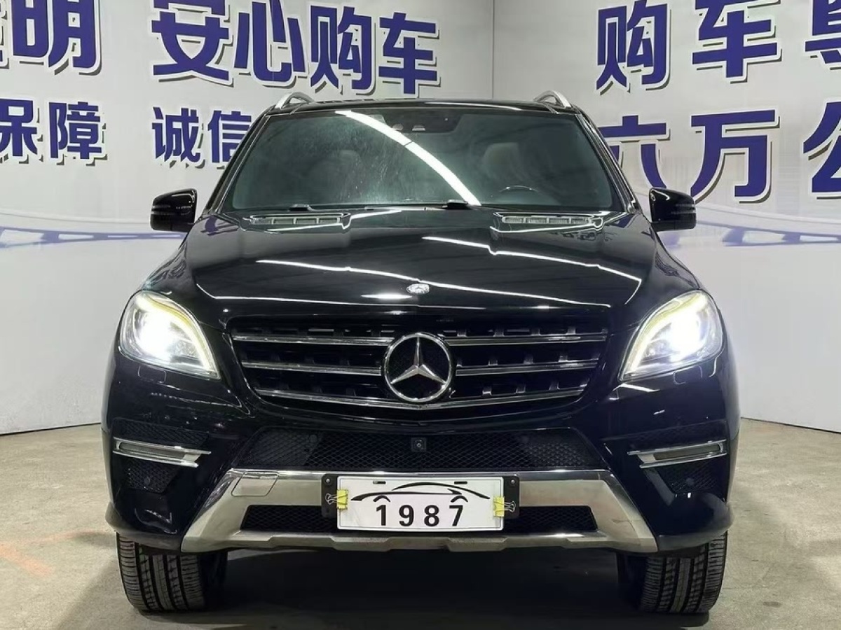 奔馳 奔馳M級(jí)  2014款 ML 400 4MATIC豪華型圖片