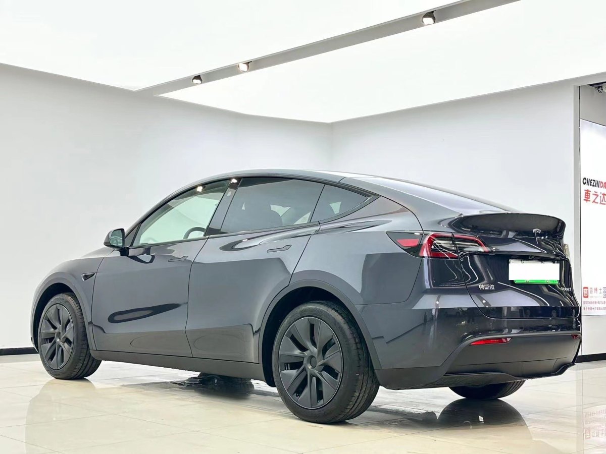 特斯拉 Model Y  2020款 改款 長(zhǎng)續(xù)航后輪驅(qū)動(dòng)版圖片