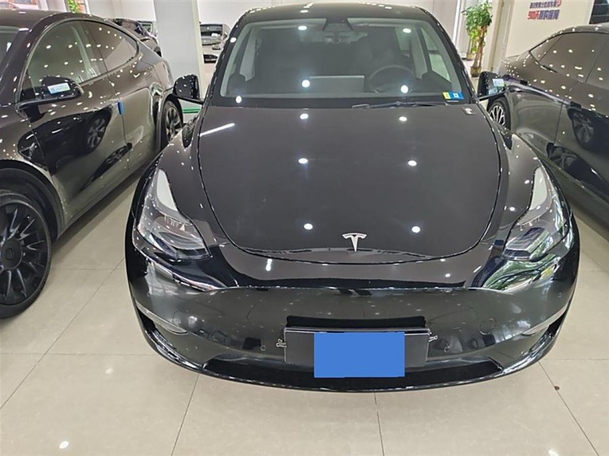 特斯拉 Model 3  2021款 改款 標準續(xù)航后驅(qū)升級版圖片