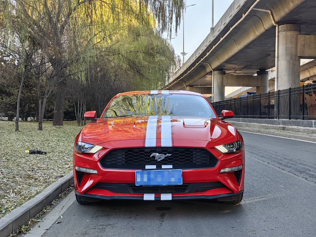 福特 Mustang  2018款 2.3L EcoBoost圖片