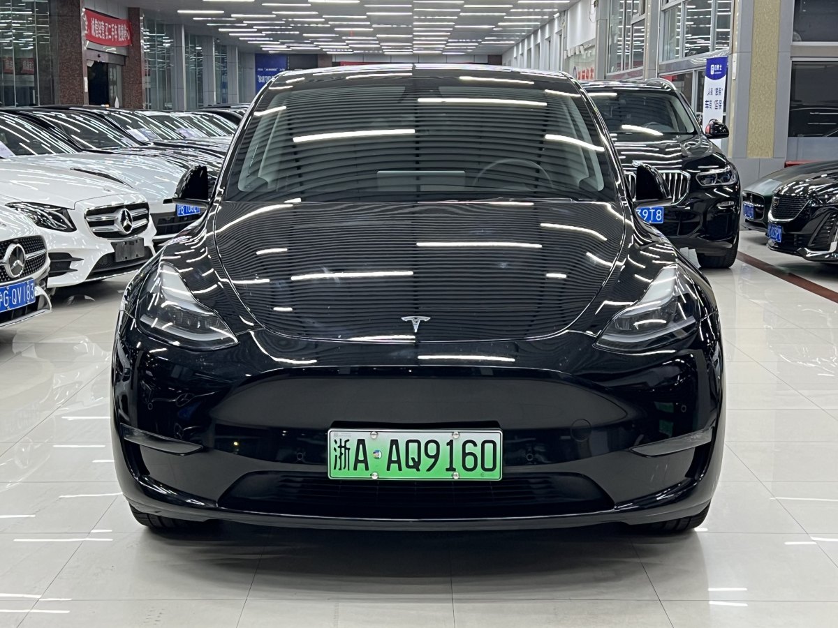 特斯拉 Model Y  2021款 標(biāo)準(zhǔn)續(xù)航后驅(qū)版圖片