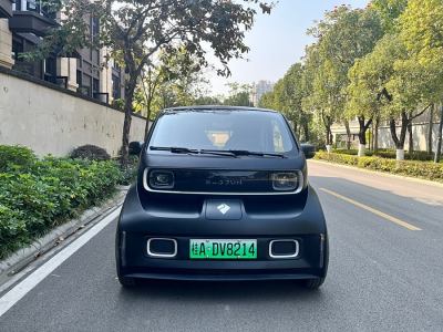 2022年3月 寶駿 寶駿KiWi EV 藝術(shù)家輕享版 三元鋰圖片