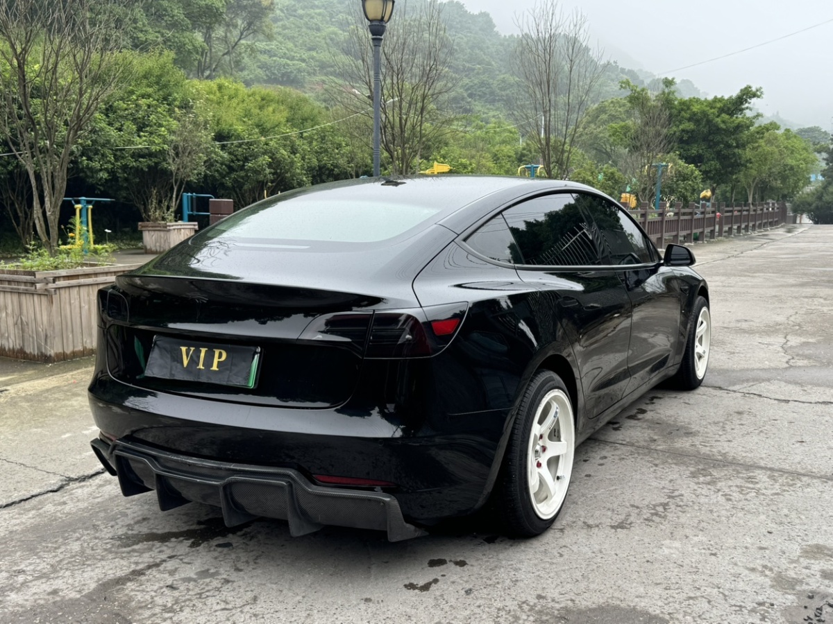 特斯拉 Model 3  2021款 標準續(xù)航后驅(qū)升級版 3D6圖片