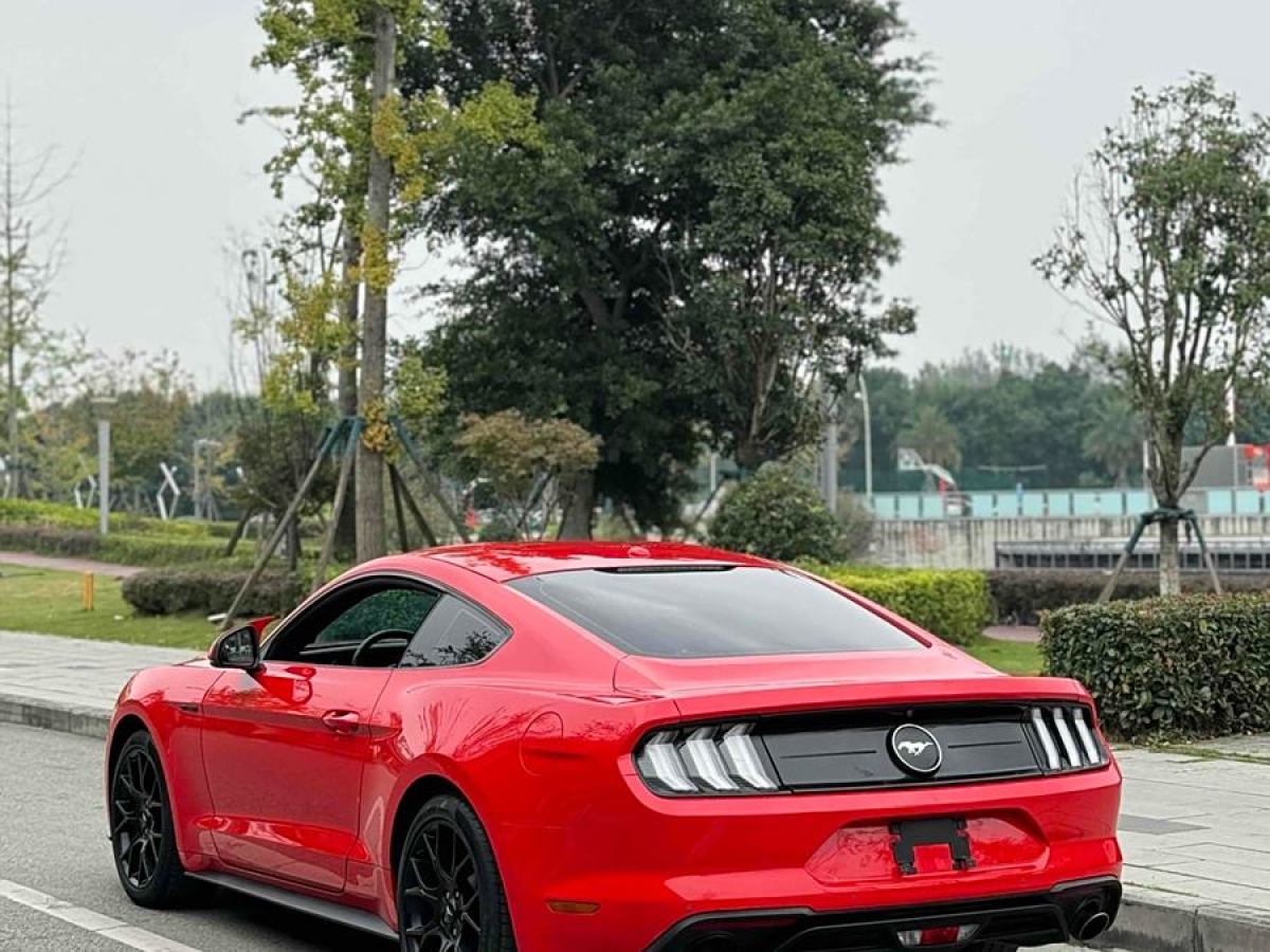 福特 Mustang  2019款 2.3L EcoBoost 性能加強(qiáng)版圖片