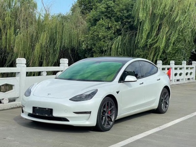 特斯拉 Model Y Performance高性能全輪驅(qū)動版 3D6圖片