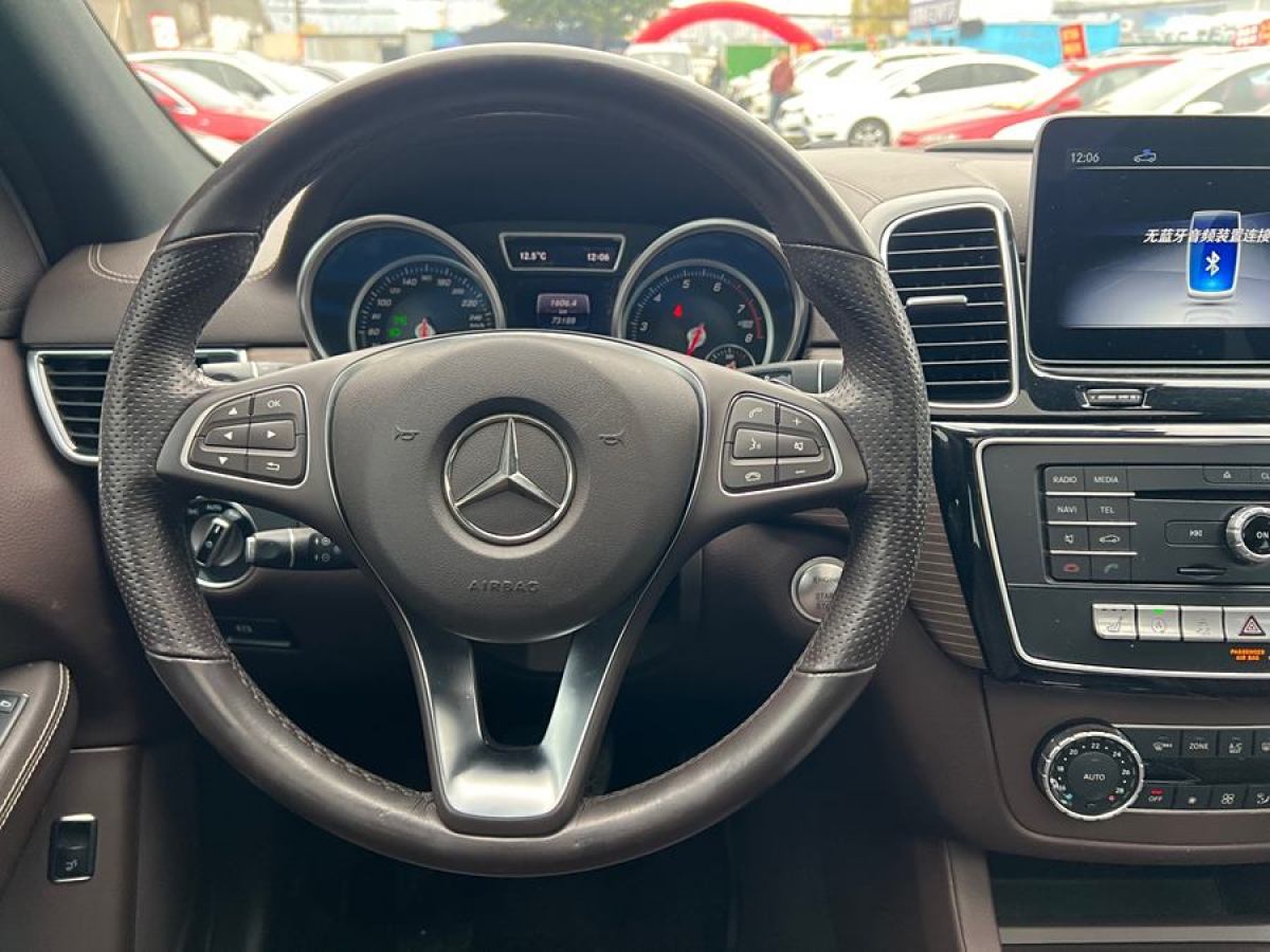 奔馳 奔馳GLE  2018款 GLE 320 4MATIC 動感型臻藏版圖片