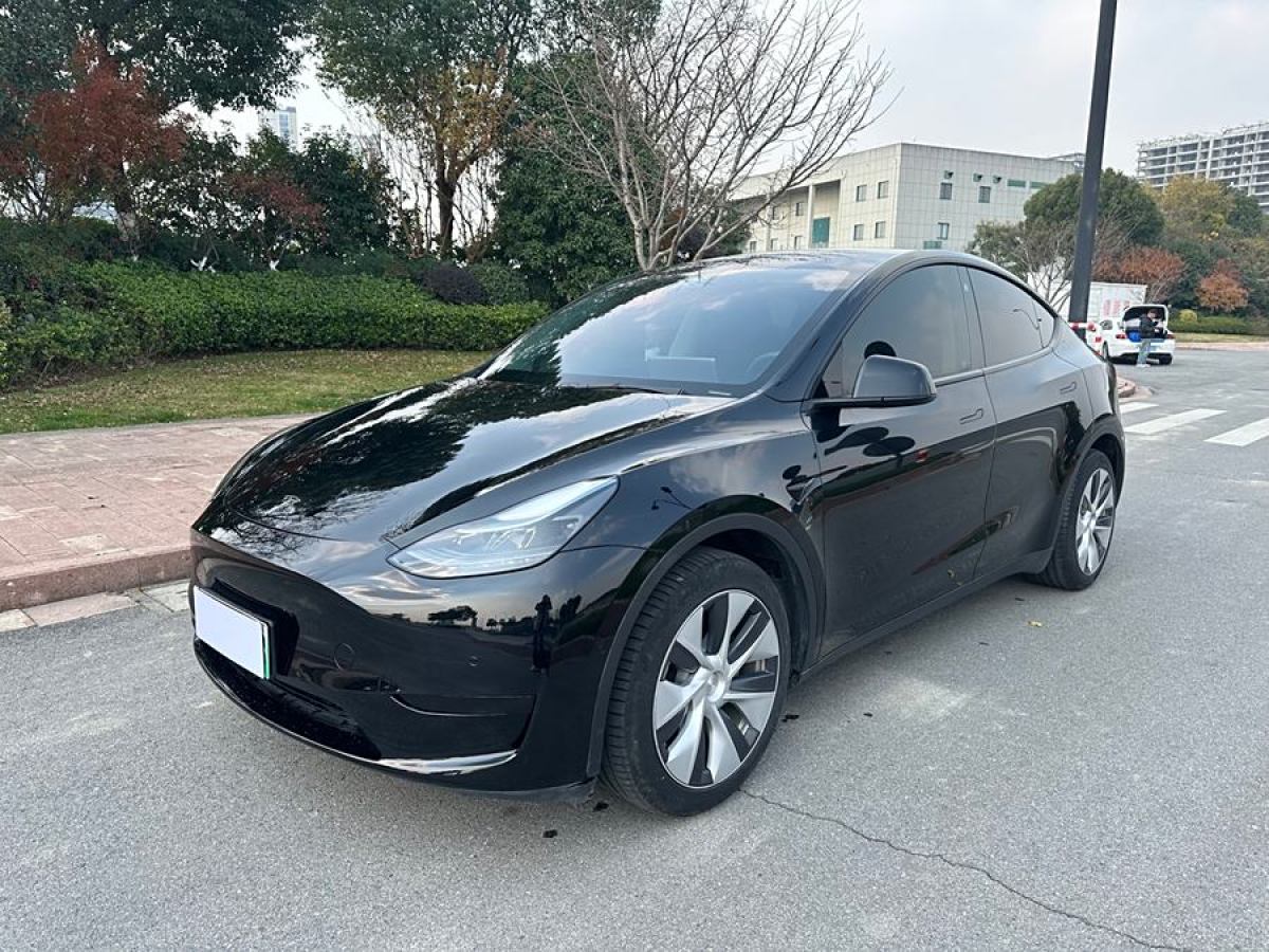 特斯拉 Model 3  2022款 后輪驅(qū)動版圖片