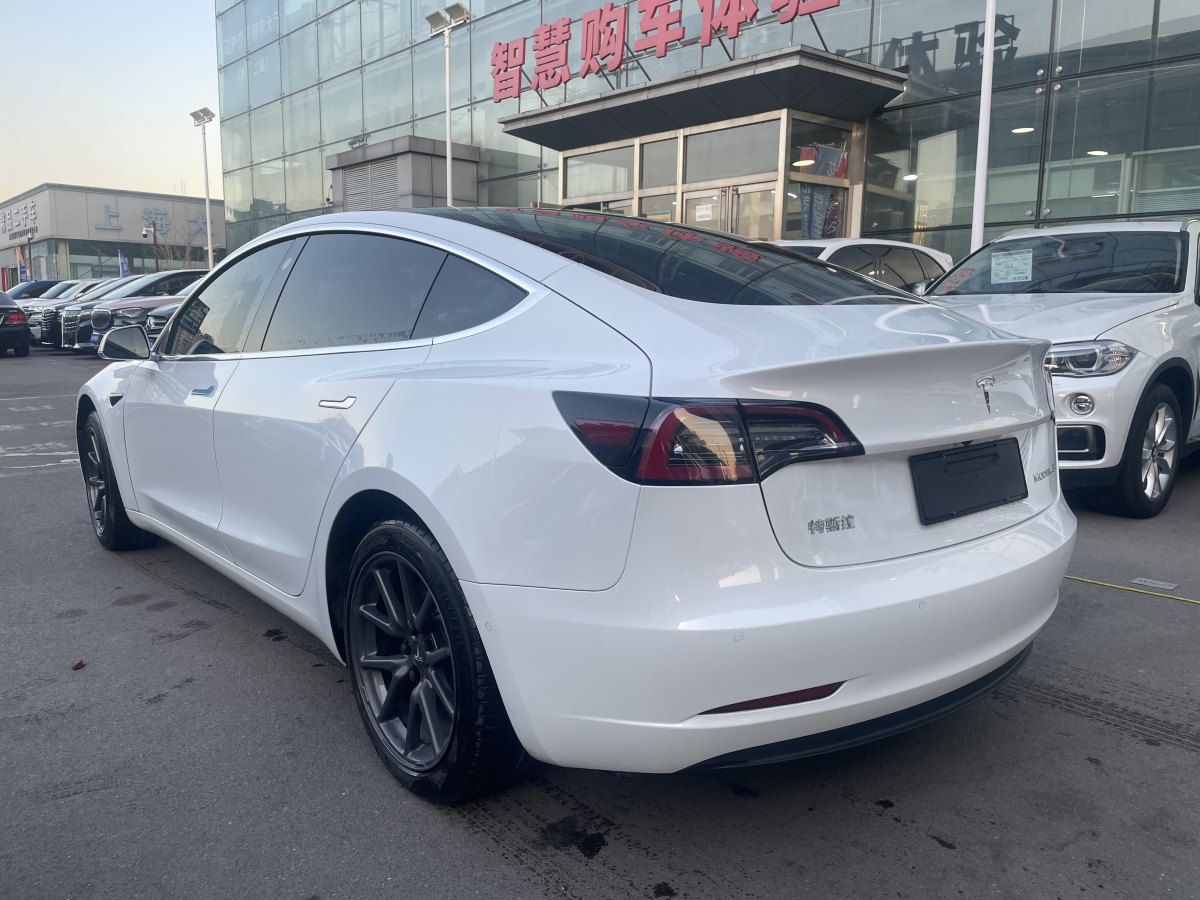 特斯拉 Model 3  2019款 標(biāo)準(zhǔn)續(xù)航后驅(qū)升級版圖片