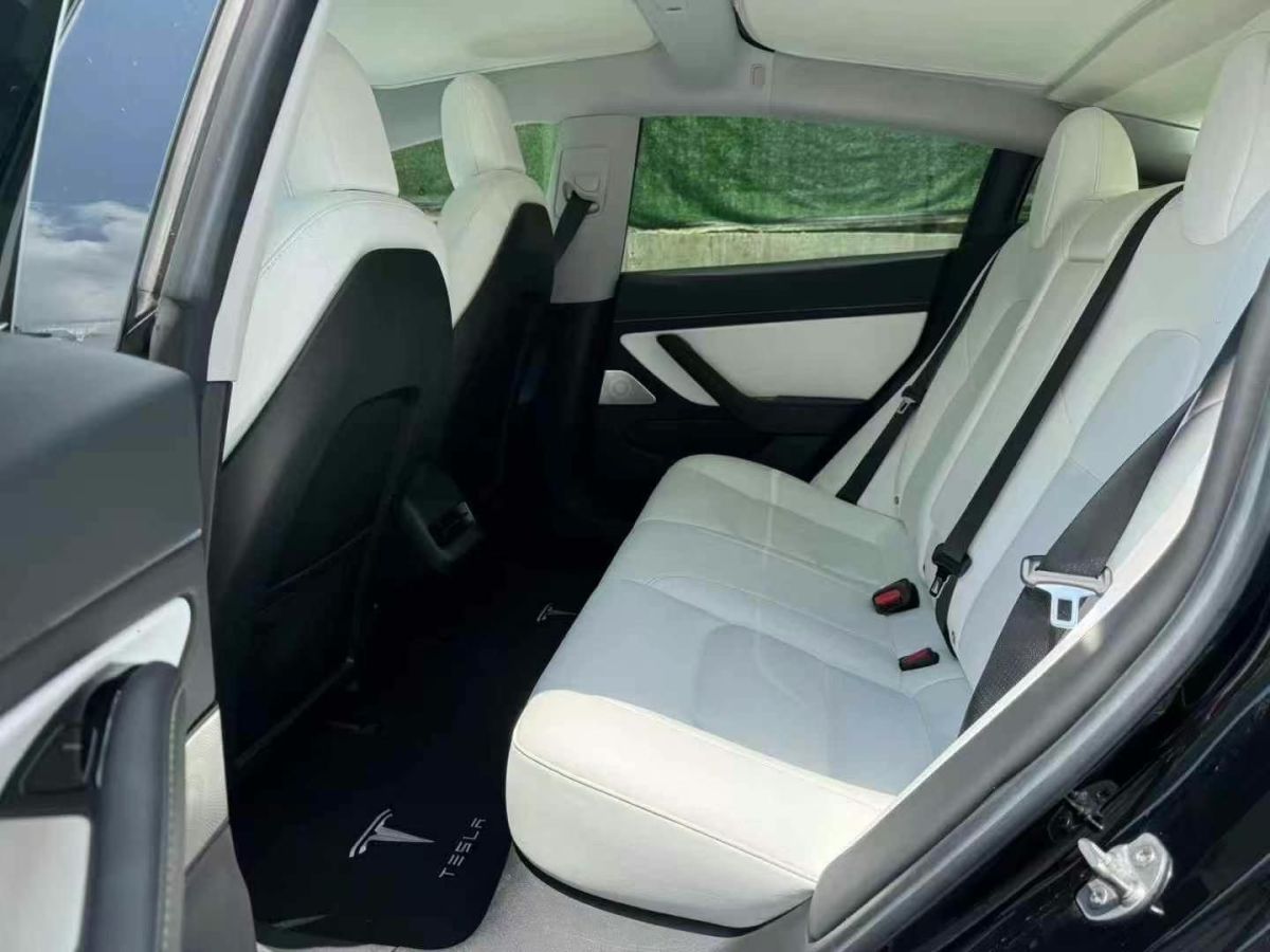 特斯拉 Model X  2020款 Performance 高性能版圖片
