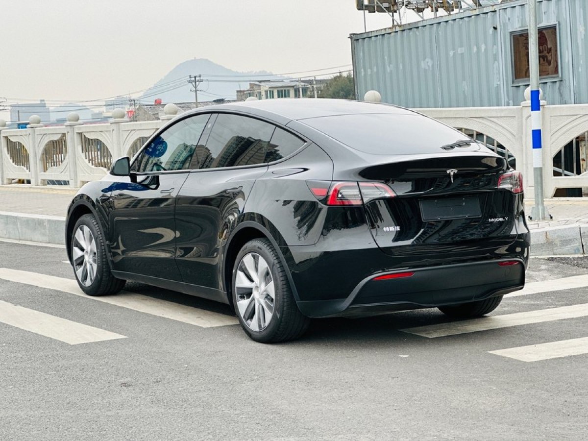 特斯拉 Model 3  2020款 改款 長續(xù)航后輪驅動版圖片